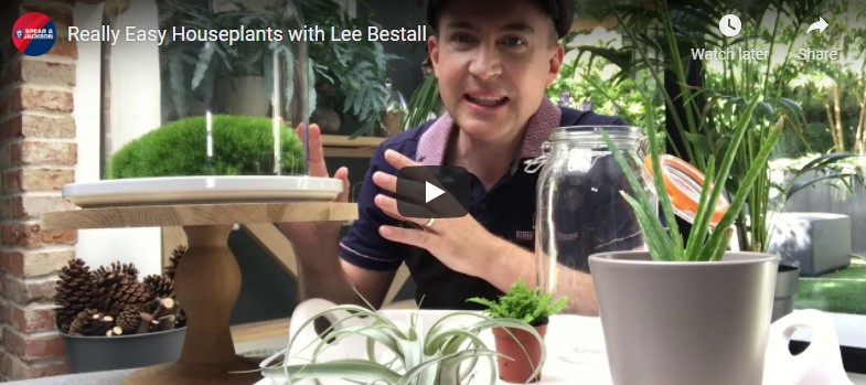 Lee-Bestall-blog